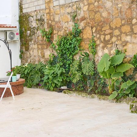 Villa Verde Pet-Friendly Кордова Екстер'єр фото